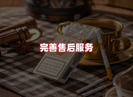 专业团队